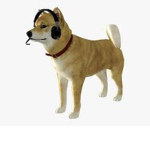 Doge—Nation
