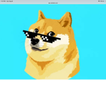 Team doge pros