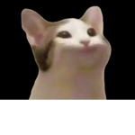 팝켓의 놀이공원