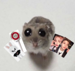 Baby R4ts