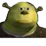 THE CHILL MEME GROUP