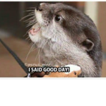 I SAID GOOD DAY!