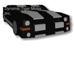 Dynamic Tiger Motor Inc.
