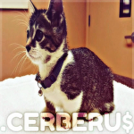 .CERBERU$