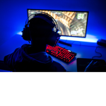 GamingRule!?