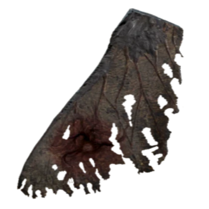 Images/Torn Wing