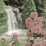 + { ᴘɪɴᴋ ᴄᴀꜱᴛʟᴇ } +