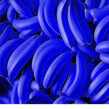 Blue Bananas