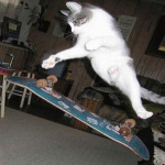 SKATEMORE