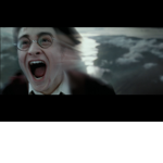 Only for Harry Potter fans