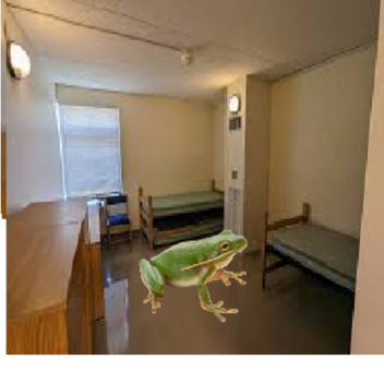 house but you're a frog