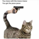 AlmightyMeows