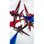 The red arrows team!
