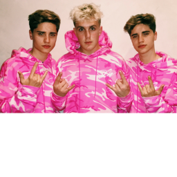 #### #### and ######## twins