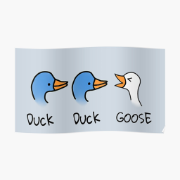 Duck Duck Goose