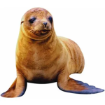 Mean Seal Club