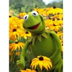 Frogful Productions