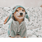 -Lily’s apparel <3