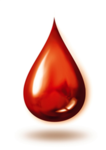 Order Of the Virtuos Blood