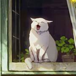 Shadow_anime