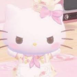 ~Aesthetic Boutique~
