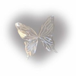 ⋆.˚🦋༘⋆