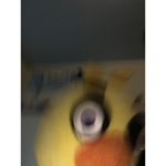 FANF IS COOL