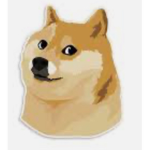 Thunder DOGES!!!!!
