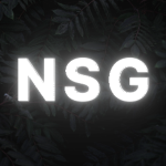 NSG | Neo Striker Genesis