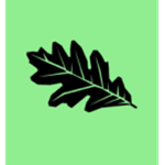 OakLeaf Sport Apparel