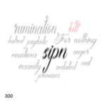 sipn