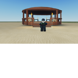 United States Navy Combat arena