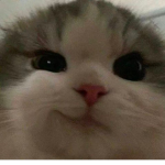 D@rkseidd