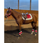 Horses and Ponies 4 Life