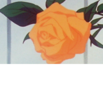 aMaRa's aEsThEtIcS