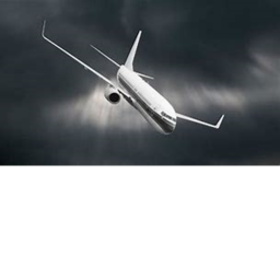 Sabertooth Airplane