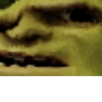 Shrek gang clothing