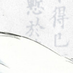 ˚୨୧⋆｡˚ ⋆