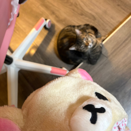 ♡｡ ‿︵‿ ｡♡