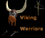 Viking Warriors