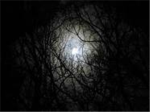 Shattered Darkness