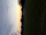 Michael_MM2