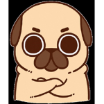 Nova Puggie
