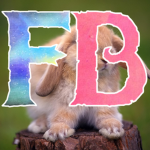 foxsholiday6
