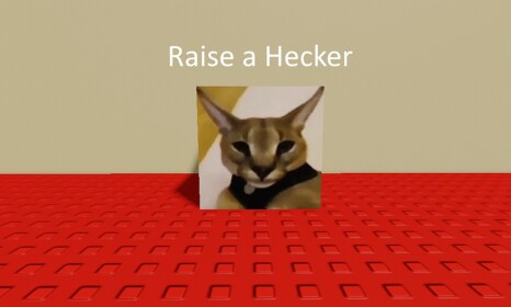 educate a hecker