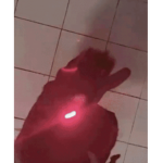0verhated