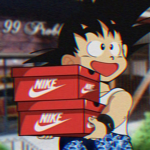 DS Funds