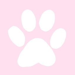 🐰