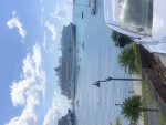 The carnival cruse