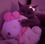 The Hello Kitty Warriors